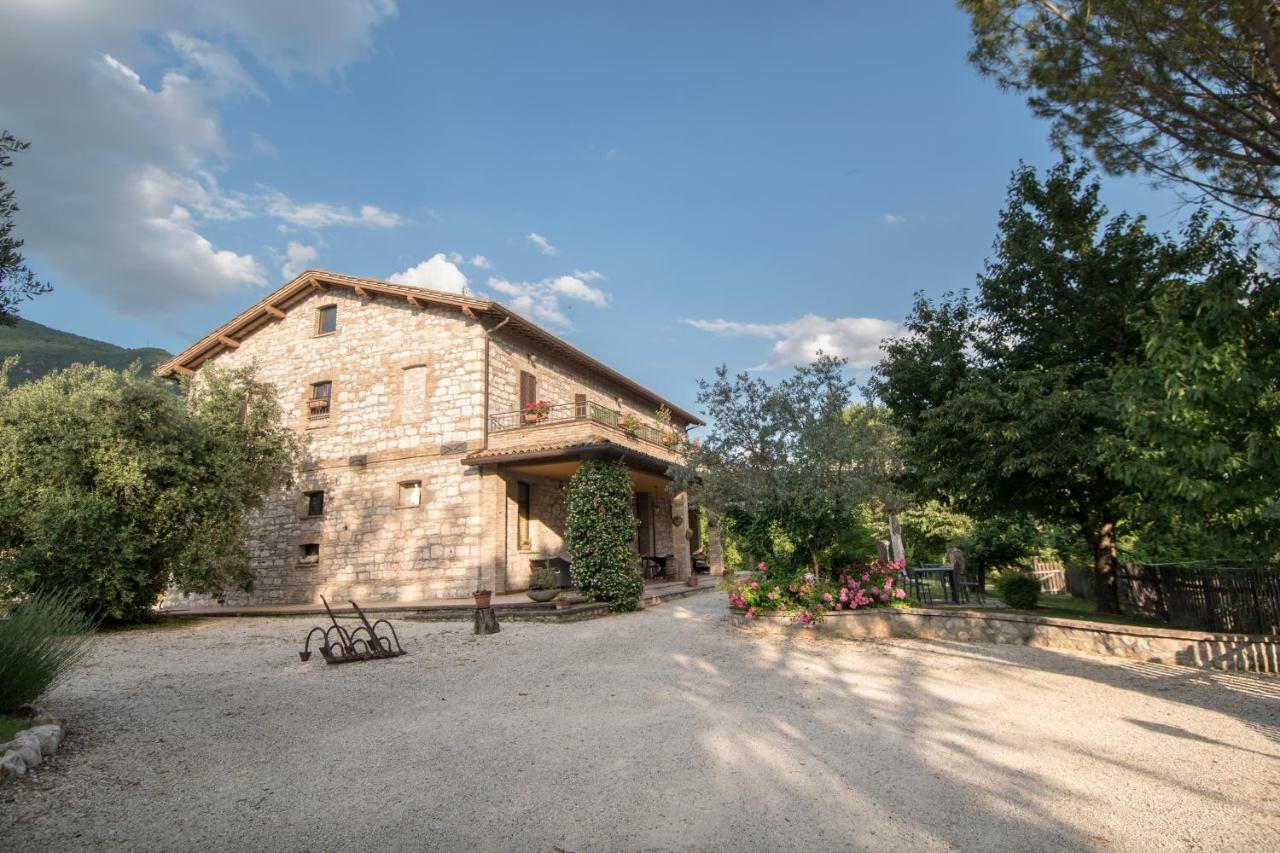 Agriturismo Il Giardino Dei Ciliegi Passaggio di Assisi Экстерьер фото